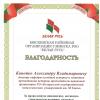 Районная организация РОО «Белая Русь» подвела итоги работы