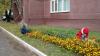 Сделаем город чище: продолжение