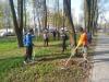 Благоустраивая территорию